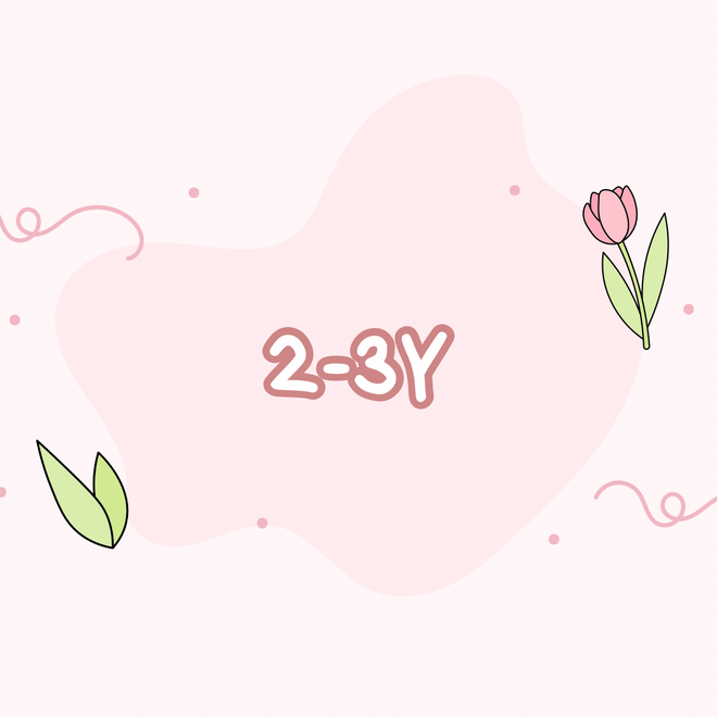 現貨：2-3Y