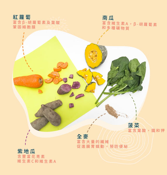 【限時團購】彩虹蔬菜麵 7m+ 10入￼￼